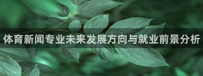 体育新闻专业未来发展方向与就业前景分析