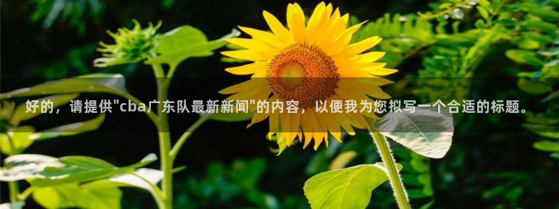 好的，请提供\