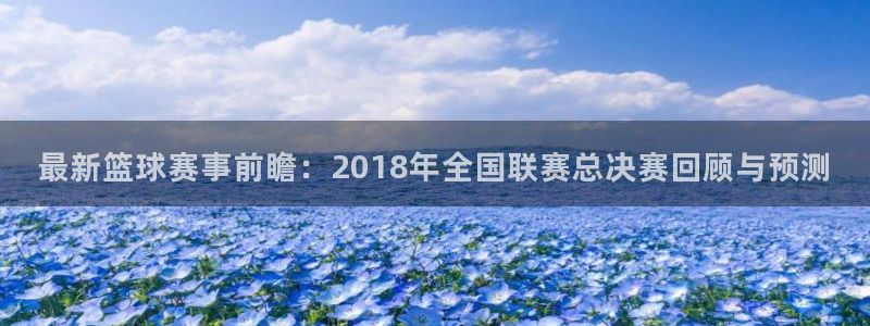 最新篮球赛事前瞻：2018年全国联赛总决赛回顾与预测