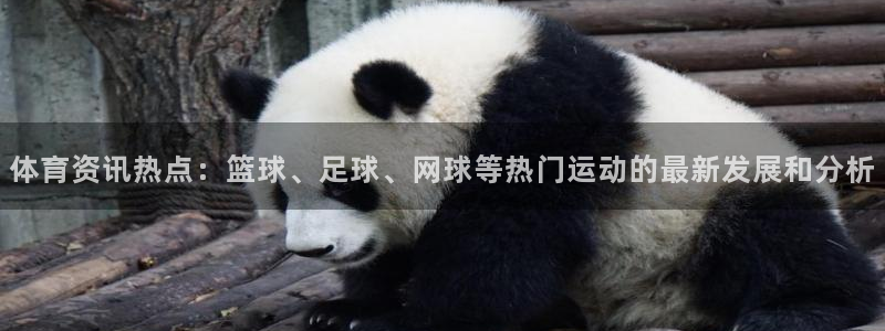 体育资讯热点：篮球、足球、网球等热门运动的最新发展和分析