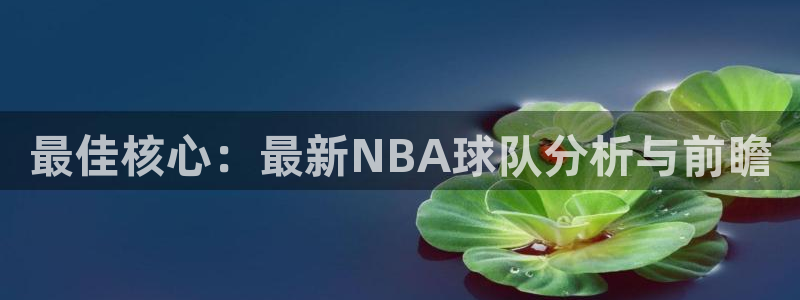 最佳核心：最新NBA球队分析与前瞻