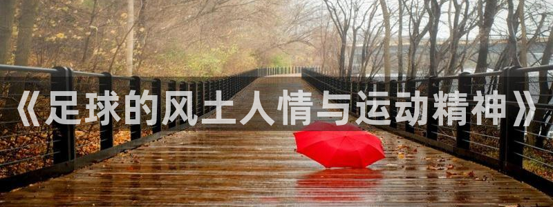 《足球的风土人情与运动精神》