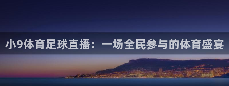 小9体育足球直播：一场全民参与的体育盛宴