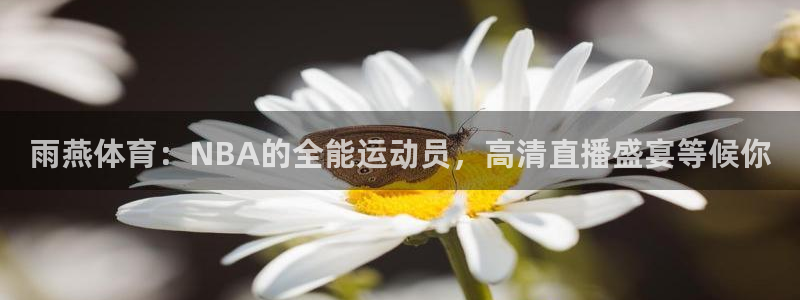 雨燕体育：NBA的全能运动员，高清直播盛宴等候你