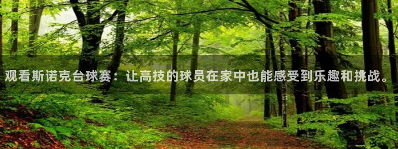 观看斯诺克台球赛：让高技的球员在家中也能感受到乐趣和挑战。