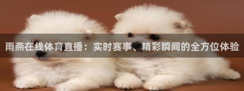 雨燕在线体育直播：实时赛事、精彩瞬间的全方位体验