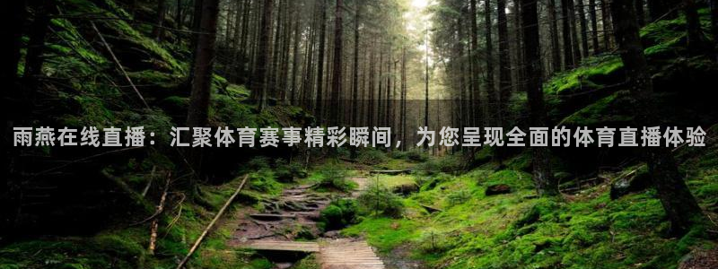 雨燕在线直播：汇聚体育赛事精彩瞬间，为您呈现全面的体育直播体验