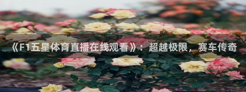 《F1五星体育直播在线观看》：超越极限，赛车传奇