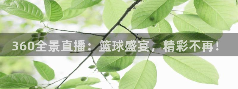 360全景直播：篮球盛宴，精彩不再！