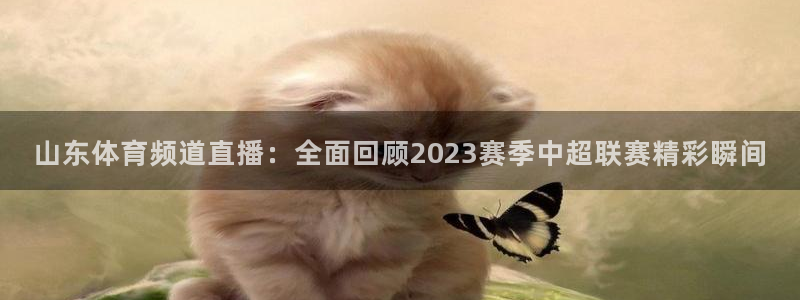 山东体育频道直播：全面回顾2023赛季中超联赛精彩瞬间