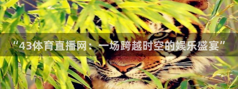 “43体育直播网：一场跨越时空的娱乐盛宴”