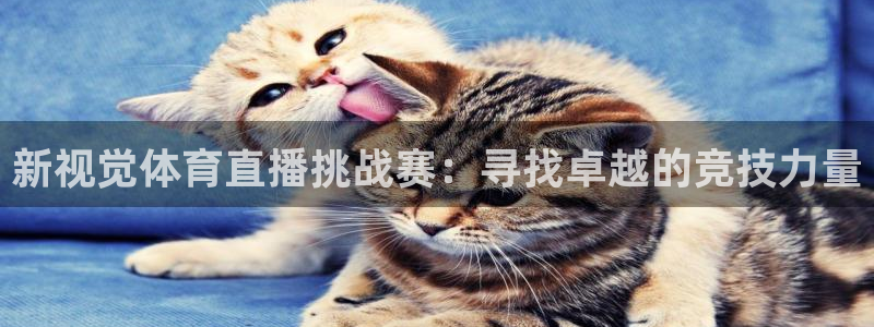 新视觉体育直播挑战赛：寻找卓越的竞技力量