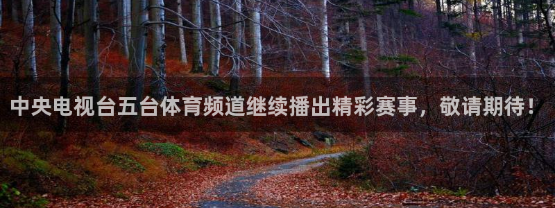 中央电视台五台体育频道继续播出精彩赛事，敬请期待！