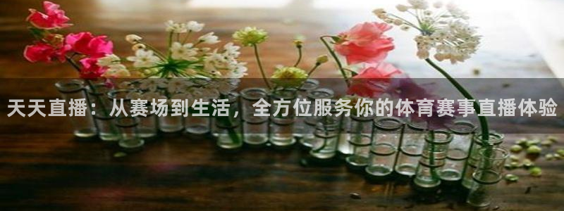 天天直播：从赛场到生活，全方位服务你的体育赛事直播体验