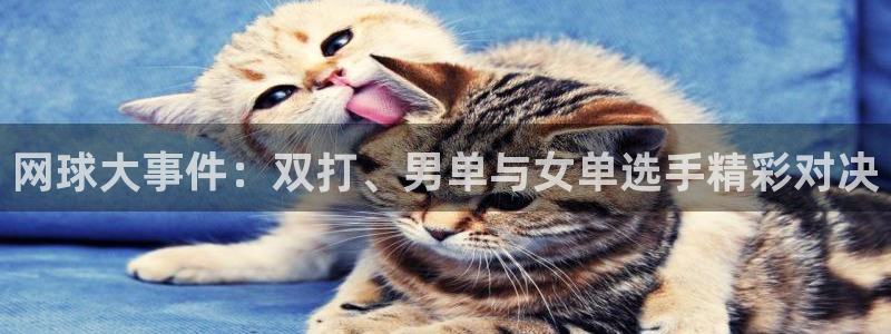网球大事件：双打、男单与女单选手精彩对决