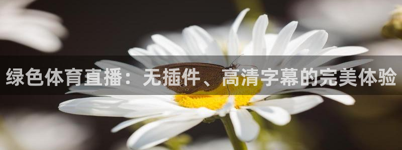 绿色体育直播：无插件、高清字幕的完美体验