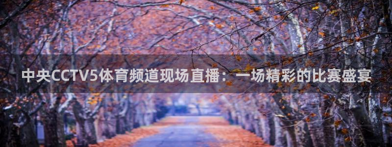 中央CCTV5体育频道现场直播：一场精彩的比赛盛宴