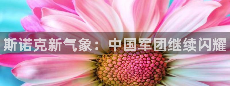 斯诺克新气象：中国军团继续闪耀
