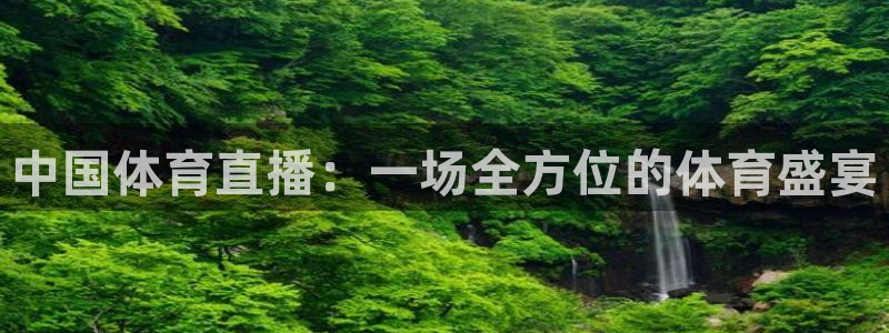中国体育直播：一场全方位的体育盛宴