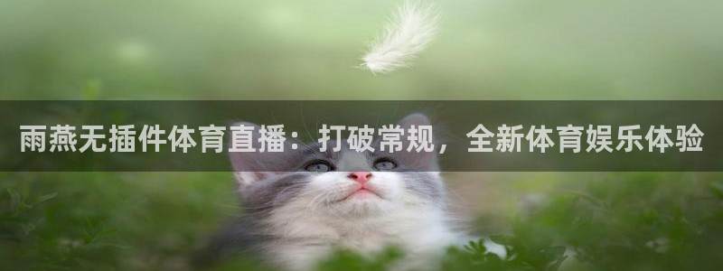 雨燕无插件体育直播：打破常规，全新体育娱乐体验