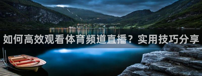 如何高效观看体育频道直播？实用技巧分享