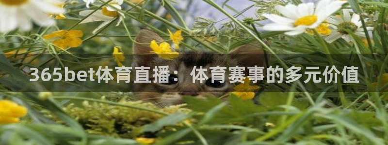 365bet体育直播：体育赛事的多元价值