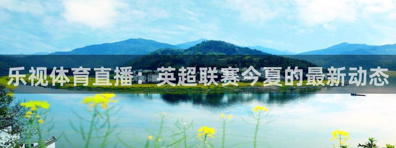 乐视体育直播：英超联赛今夏的最新动态