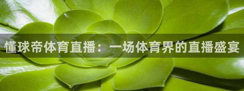 懂球帝体育直播：一场体育界的直播盛宴
