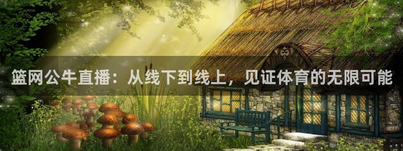篮网公牛直播：从线下到线上，见证体育的无限可能