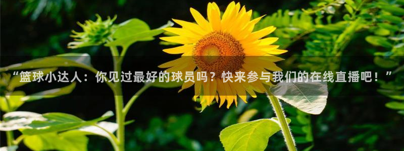“篮球小达人：你见过最好的球员吗？快来参与我们的在线直播吧！”