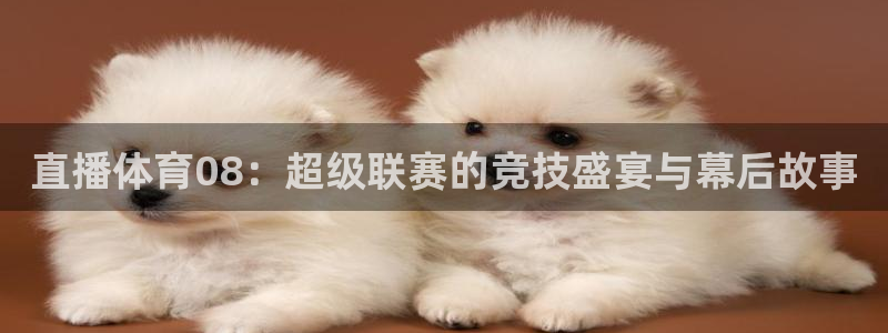 直播体育08：超级联赛的竞技盛宴与幕后故事