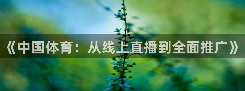 《中国体育：从线上直播到全面推广》