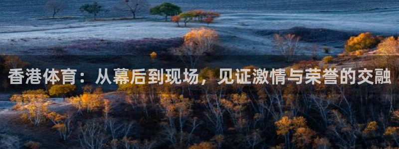 香港体育：从幕后到现场，见证激情与荣誉的交融