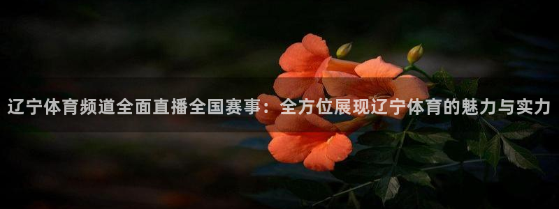 辽宁体育频道全面直播全国赛事：全方位展现辽宁体育的魅力与实力
