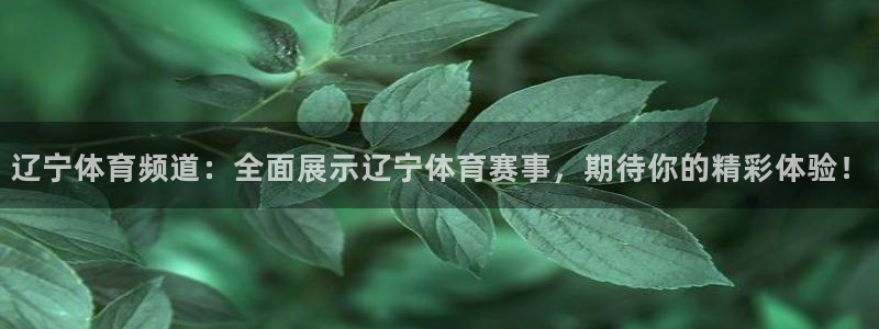 辽宁体育频道：全面展示辽宁体育赛事，期待你的精彩体验！