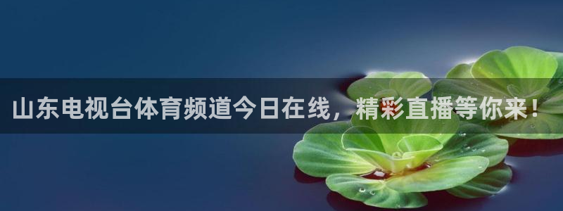 山东电视台体育频道今日在线，精彩直播等你来！