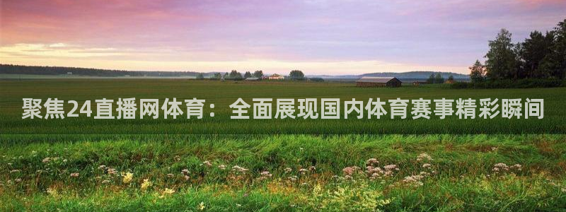 聚焦24直播网体育：全面展现国内体育赛事精彩瞬间