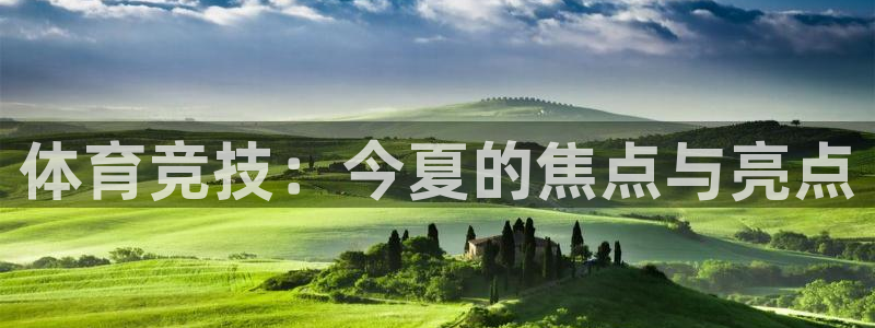体育竞技：今夏的焦点与亮点
