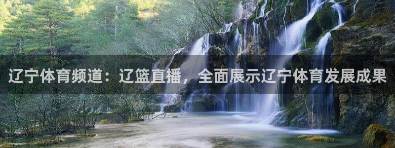 辽宁体育频道：辽篮直播，全面展示辽宁体育发展成果