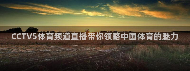 CCTV5体育频道直播带你领略中国体育的魅力