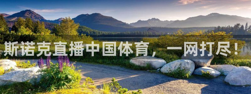 斯诺克直播中国体育，一网打尽！