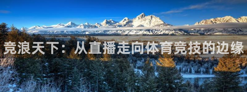 竞浪天下：从直播走向体育竞技的边缘