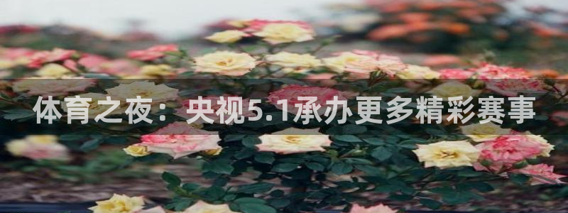 体育之夜：央视5.1承办更多精彩赛事