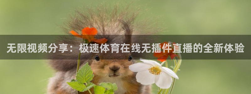 无限视频分享：极速体育在线无插件直播的全新体验