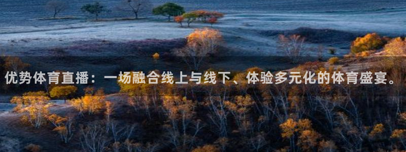 优势体育直播：一场融合线上与线下、体验多元化的体育盛宴。