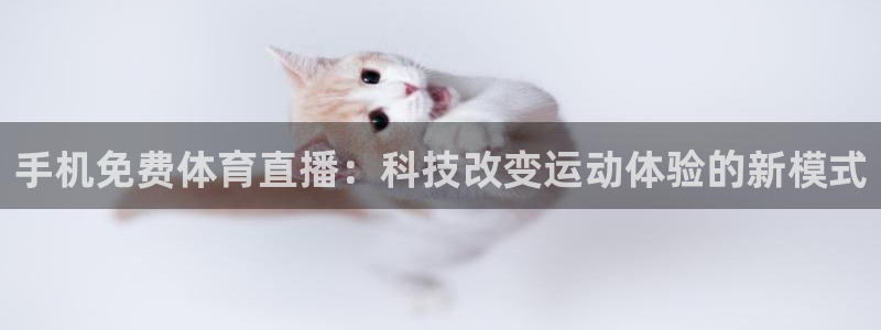 手机免费体育直播：科技改变运动体验的新模式