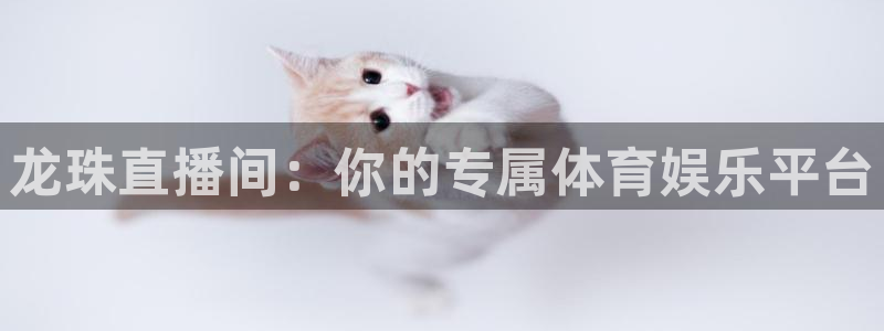 龙珠直播间：你的专属体育娱乐平台