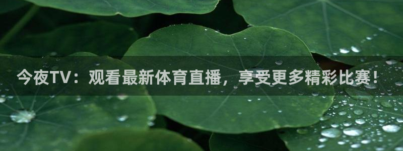 今夜TV：观看最新体育直播，享受更多精彩比赛！
