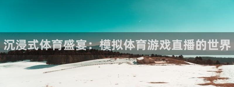 沉浸式体育盛宴：模拟体育游戏直播的世界